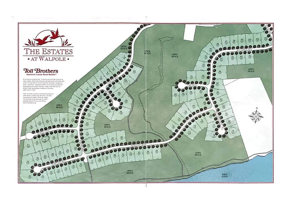 Site Plan Last Phases
